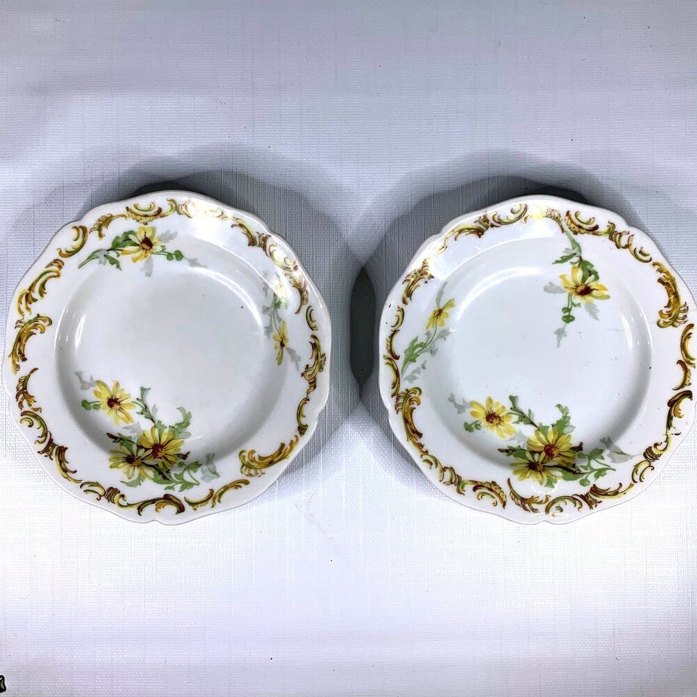Antique Limoges Wm Guerin Berry Bowls Floral Set 2 Vintage Porcelain Cottage